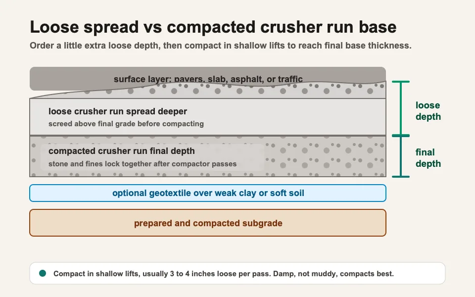 Cross-section diagram showing loose crusher run spread deeper than the final compacted base, with optional geotextile over prepared subgrade.