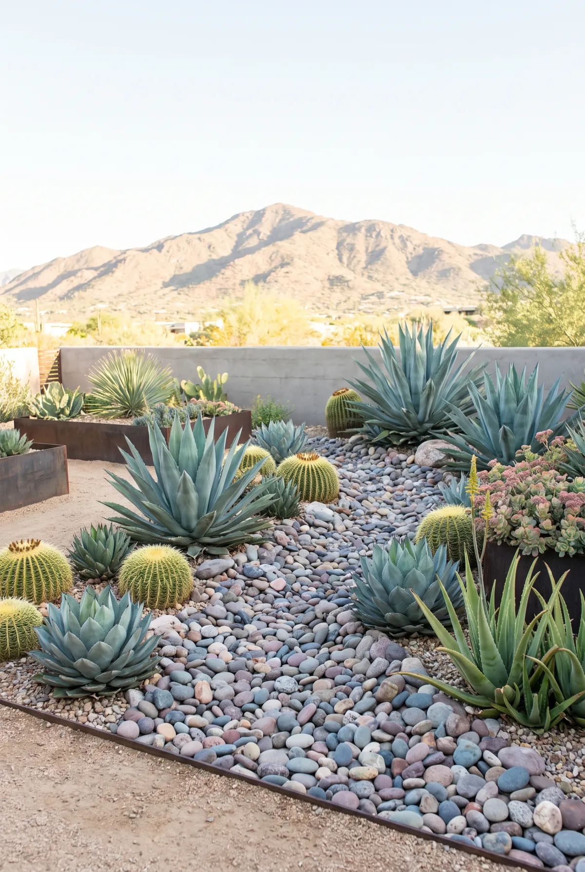 River rock bed with agave and succulents